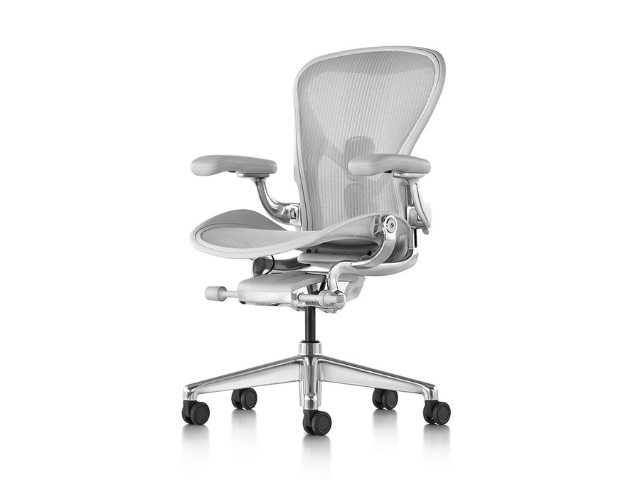 Aeron Chair Remastered Cサイズ（ラージサイズ）