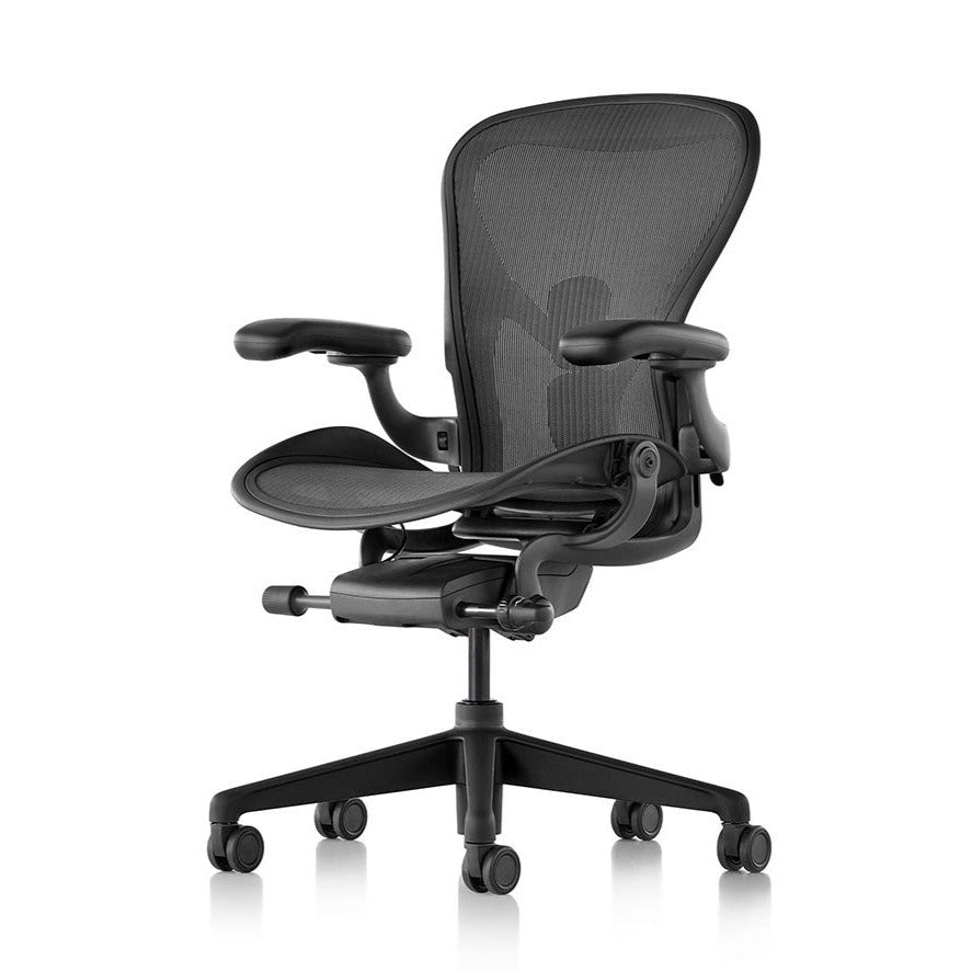 Aeron Chair Remastered Cサイズ（ラージサイズ）