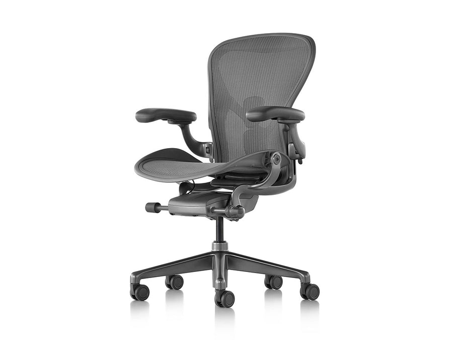 Aeron Chair Remastered Cサイズ（ラージサイズ）