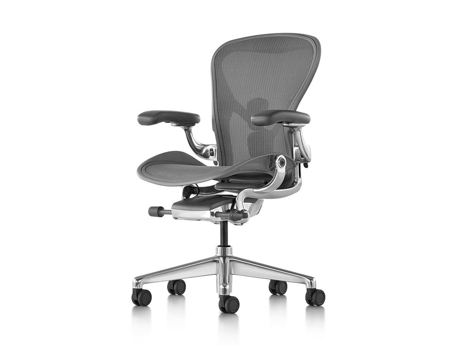 Aeron Chair Remastered Cサイズ（ラージサイズ）