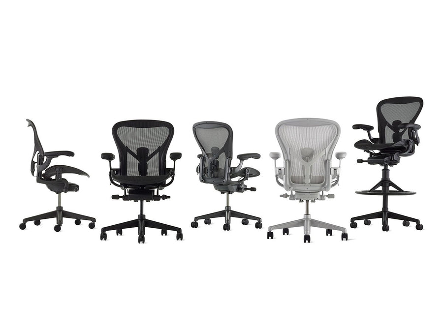 Aeron Chair Remastered Cサイズ（ラージサイズ）