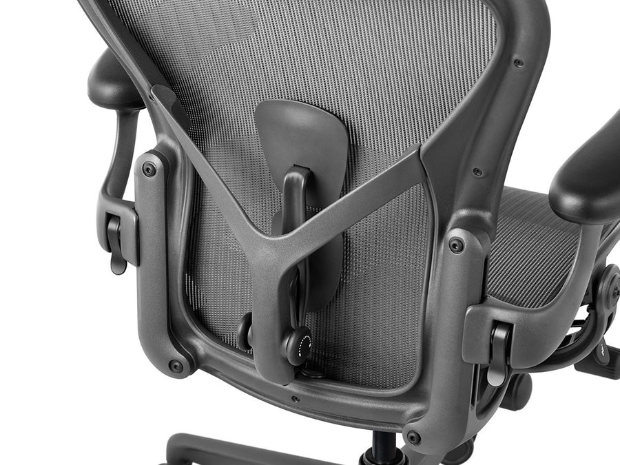 Aeron Chair Remastered Cサイズ（ラージサイズ）