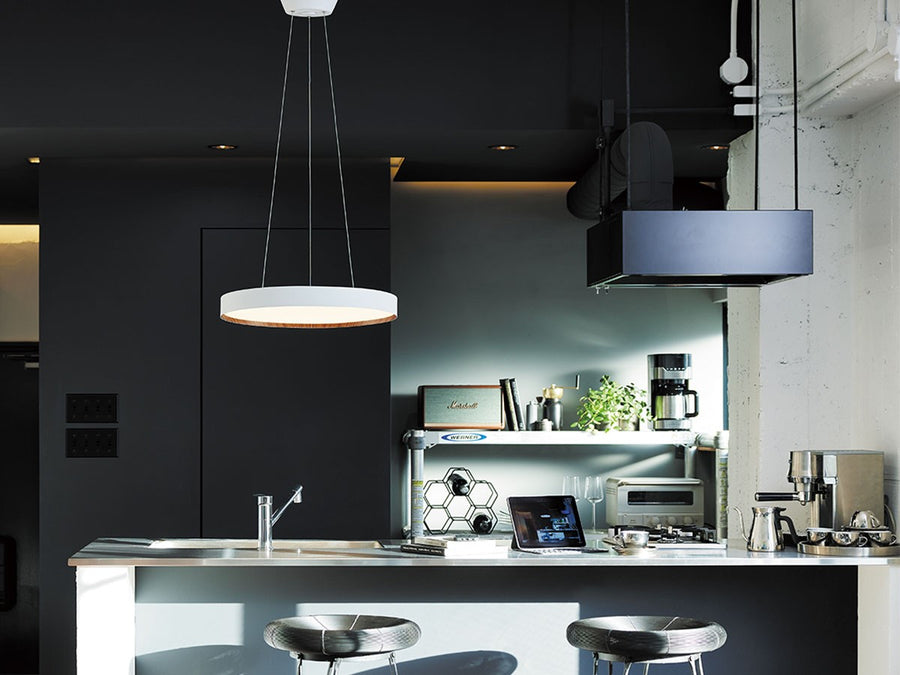 LED Pendant Lamp