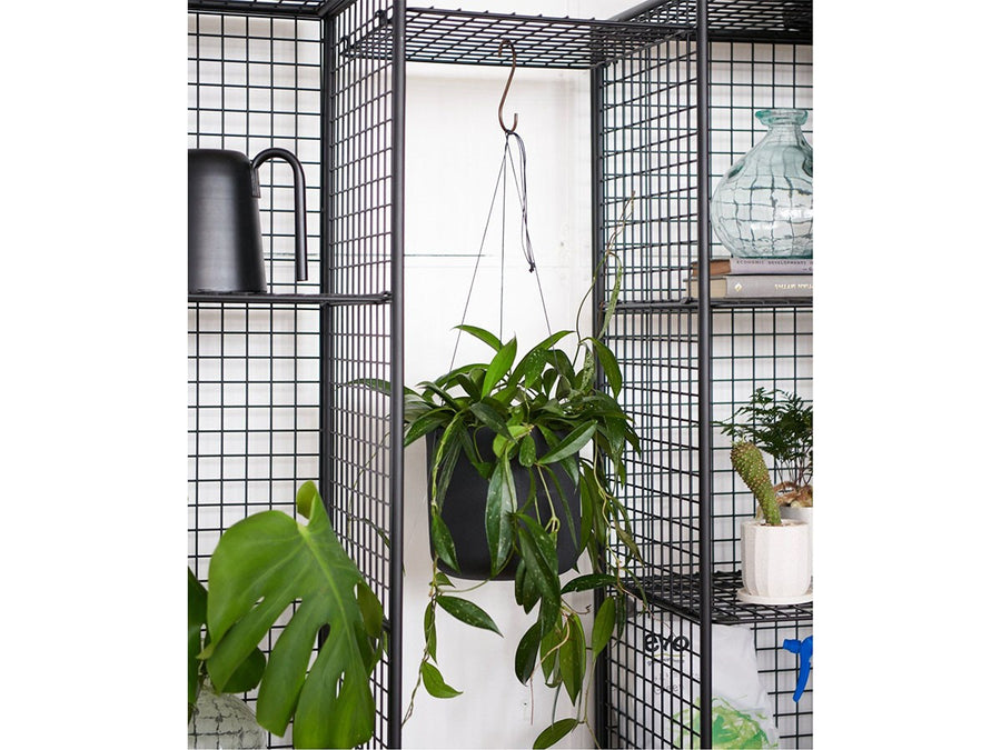 PAXTON MESH RACK 3 GRID