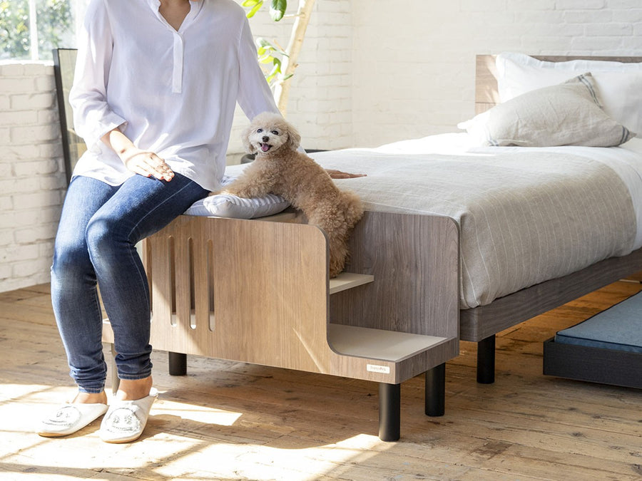 Pet Step Bench