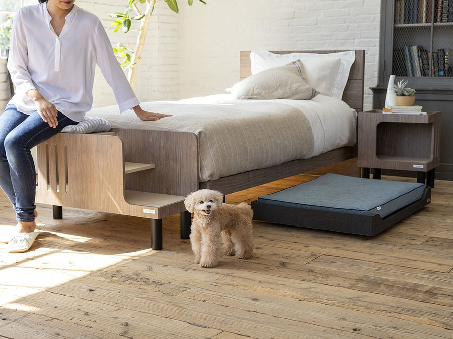 Pet Step Bench