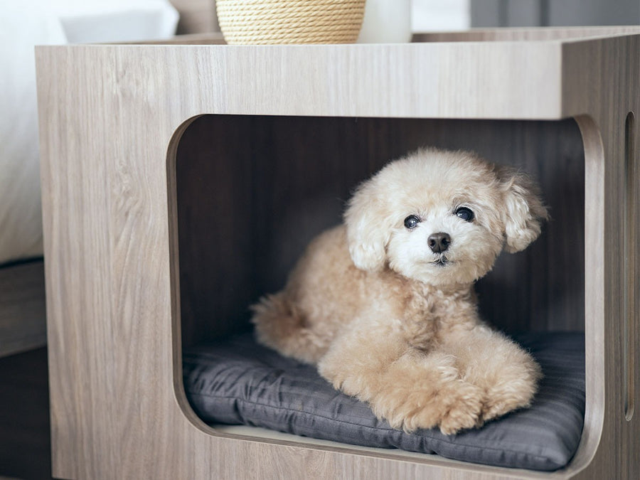 Pet House Side Table