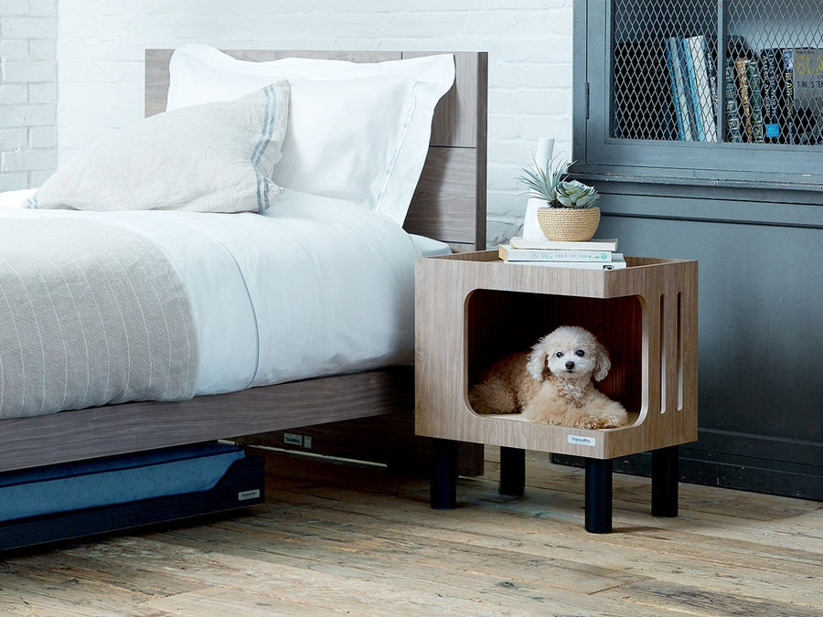 Pet House Side Table