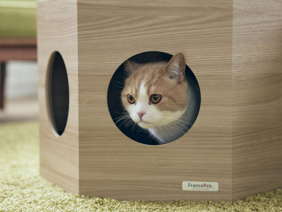 Pet House Hexa