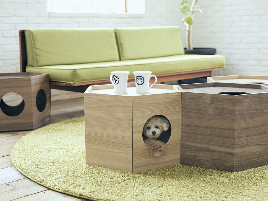 Pet House Hexa