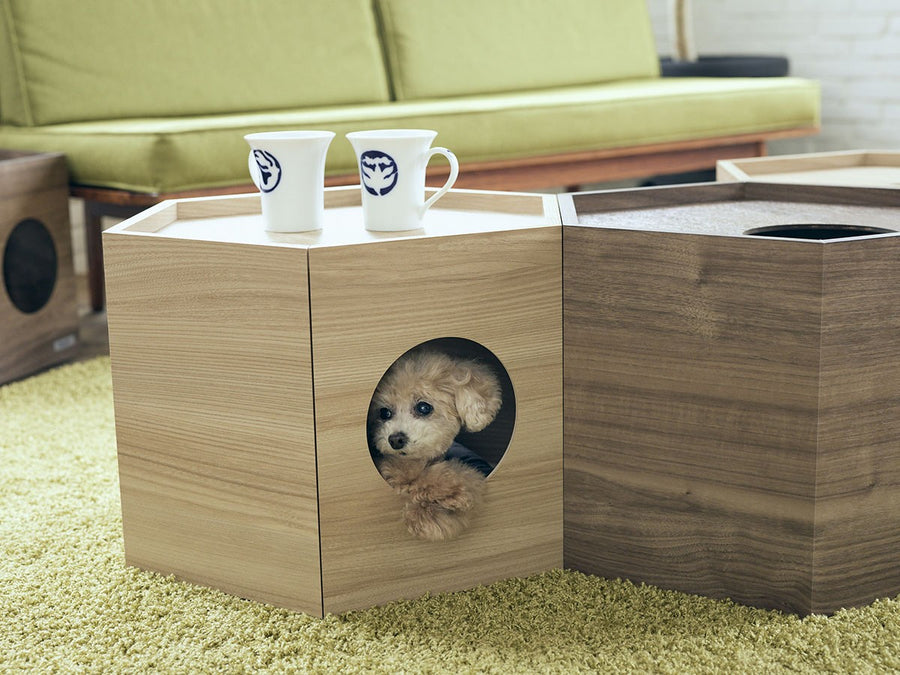 Pet House Hexa