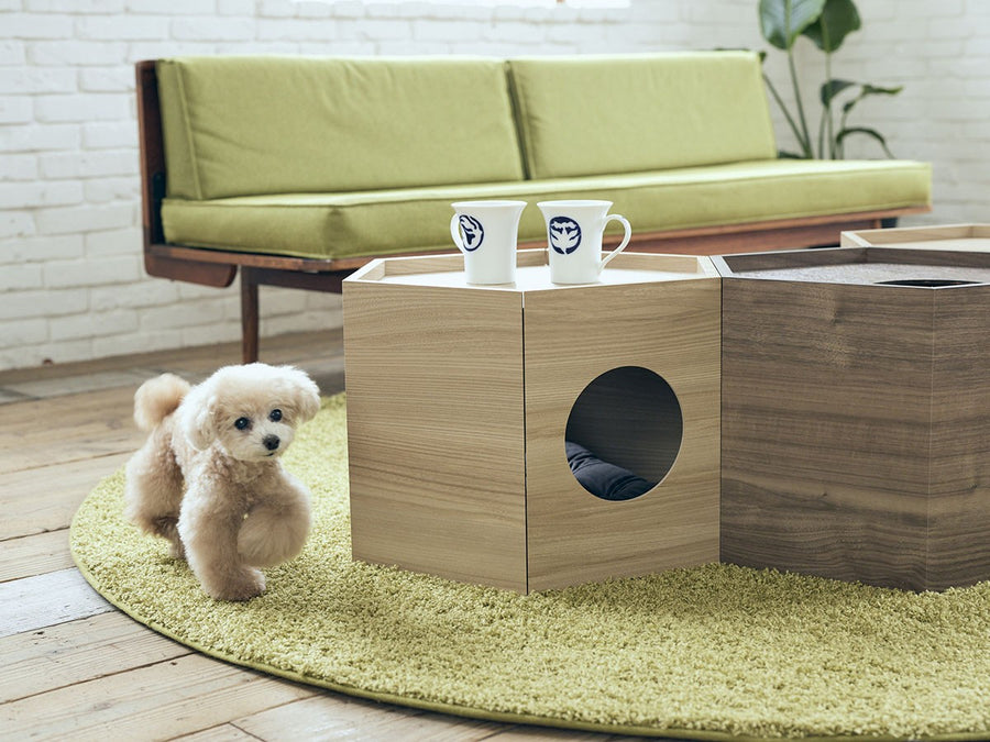 Pet House Hexa