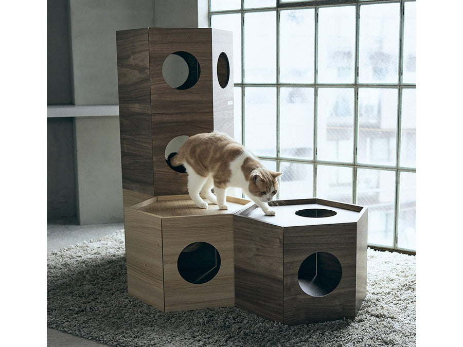 Pet House Hexa