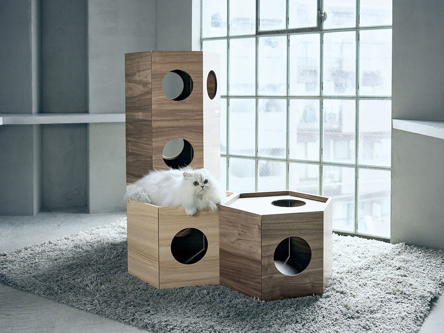 Pet House Hexa