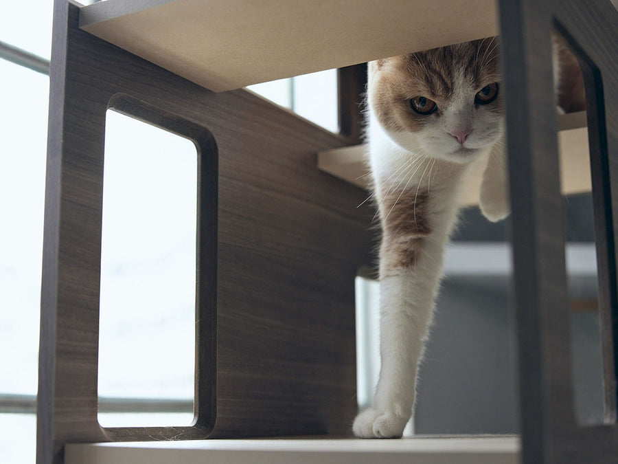 Cat Tower Partition