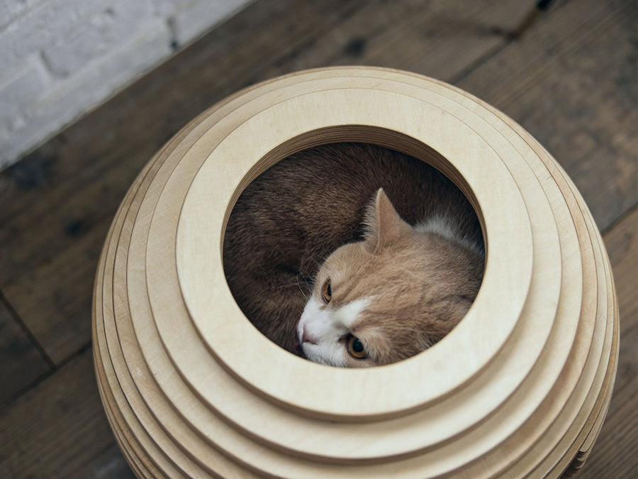 Cat House MARI