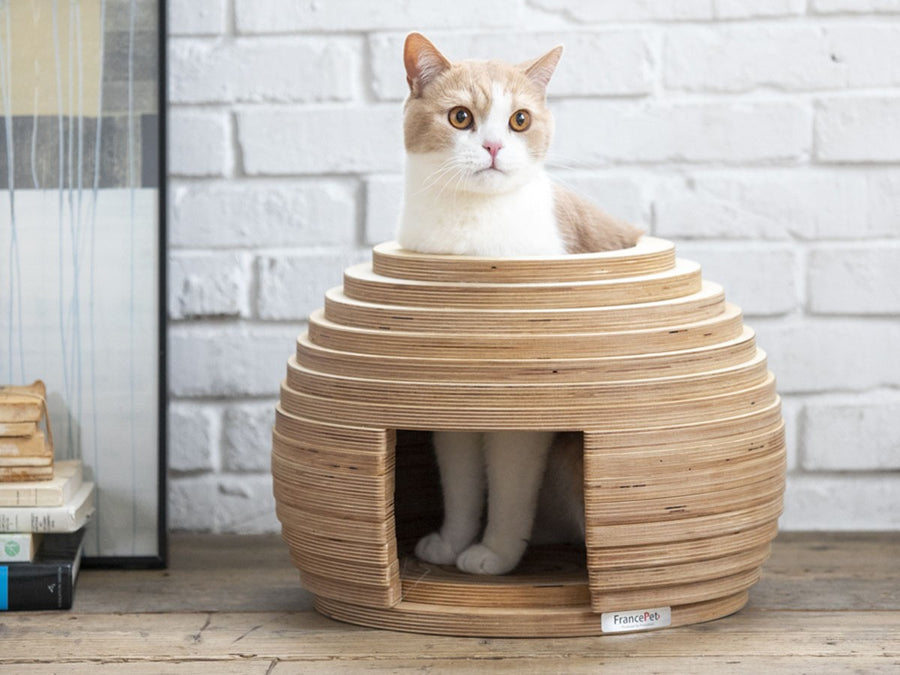 Cat House MARI