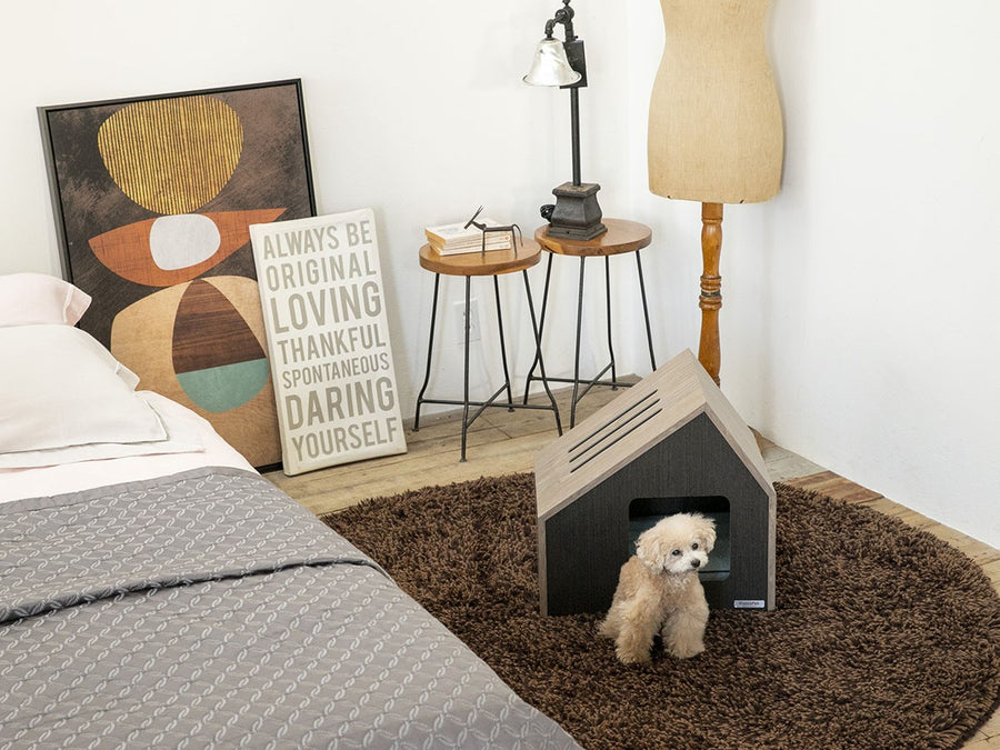 Pet House Sofita inn