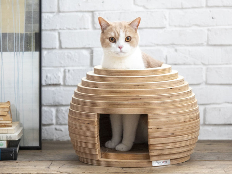 Cat House MARI