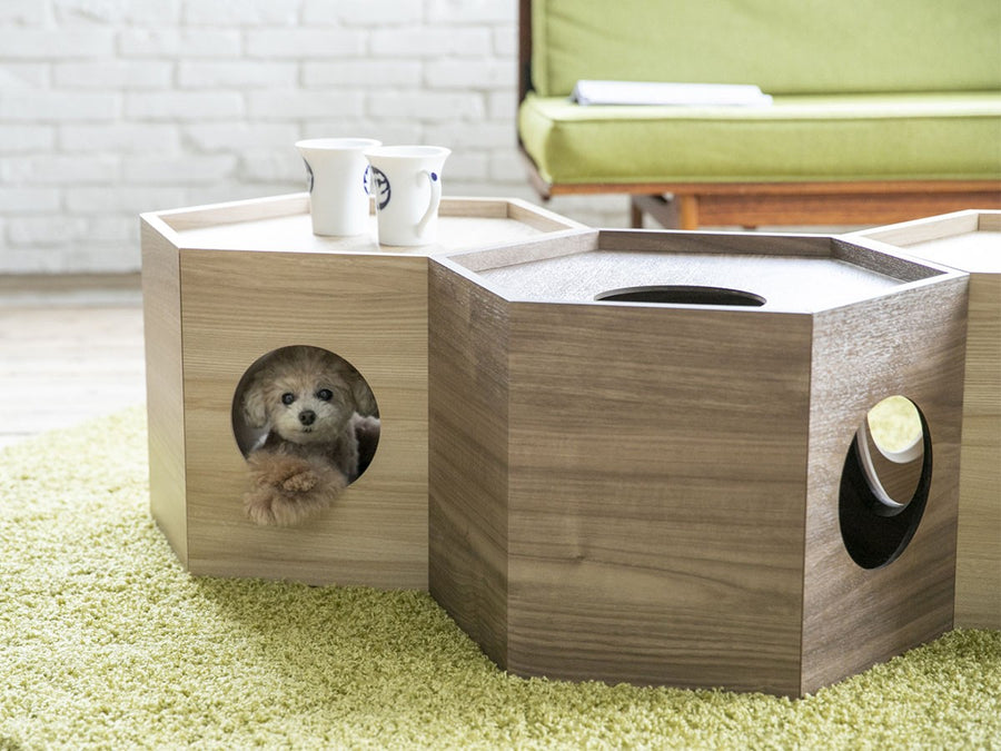 Pet House Hexa