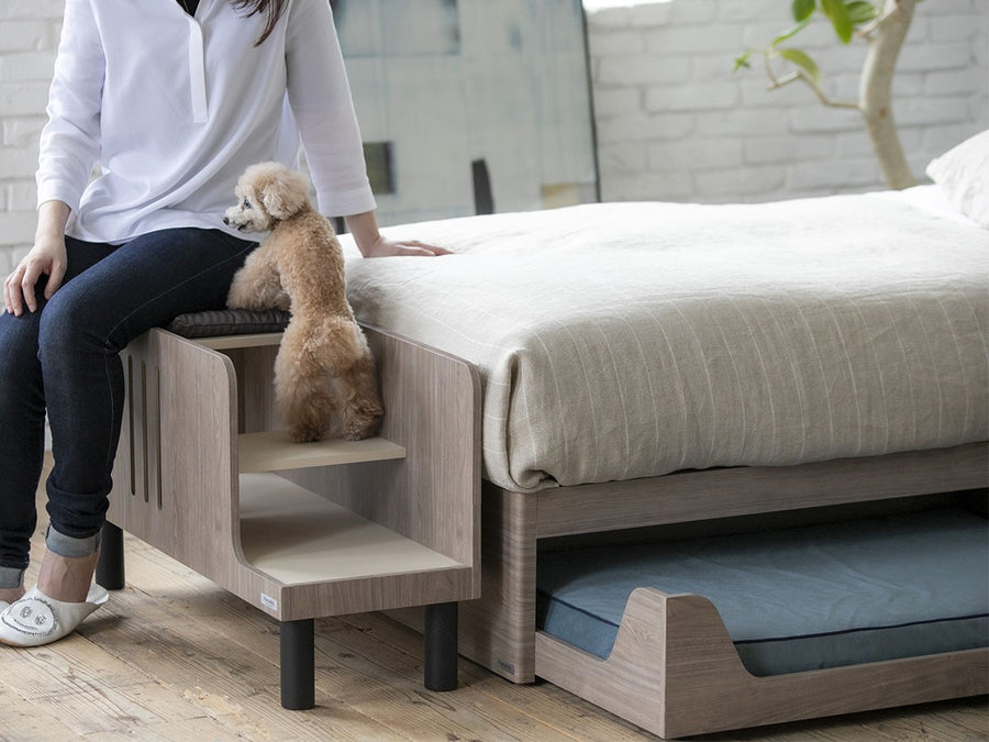 Pet Step Bench