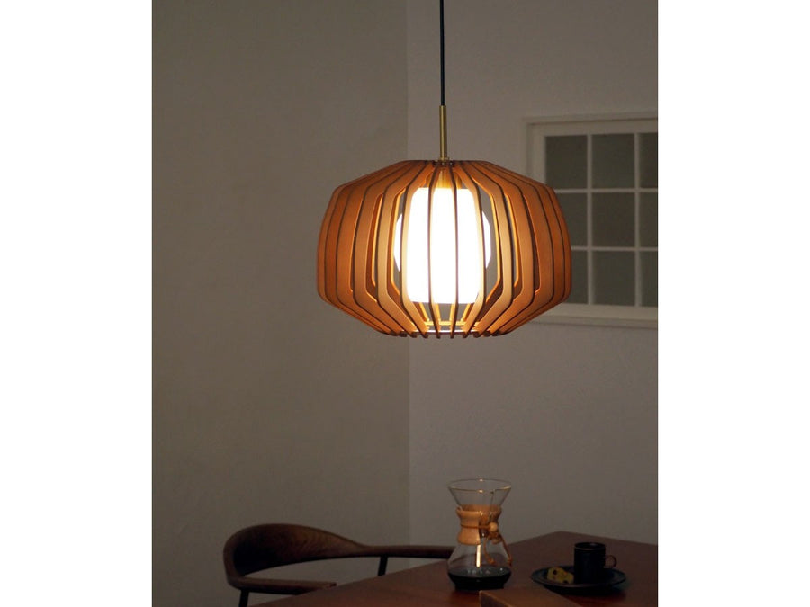 Pendant Light