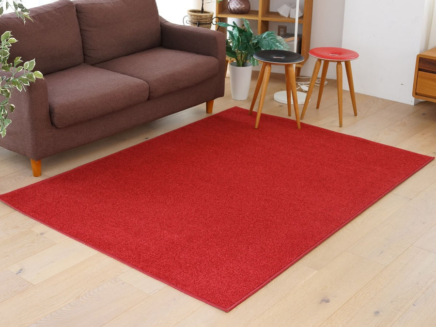 Rug