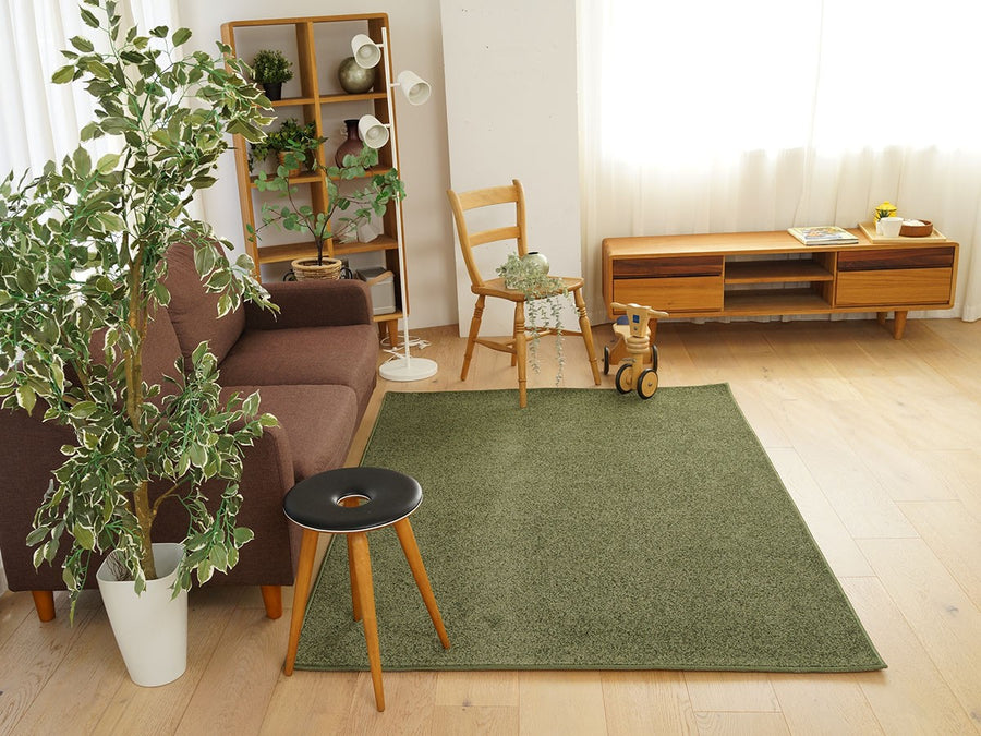 Rug