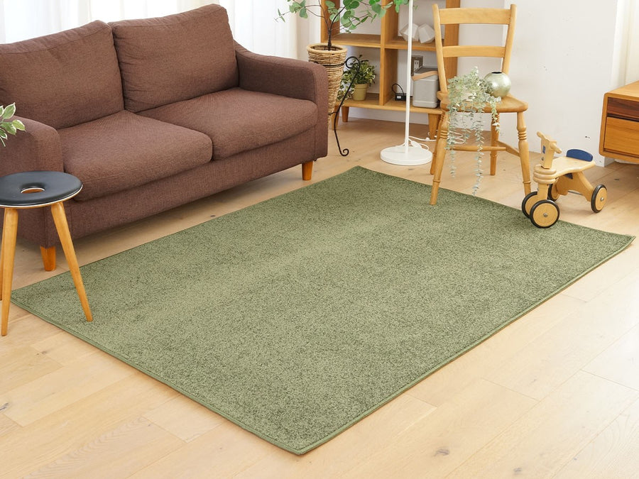 Rug