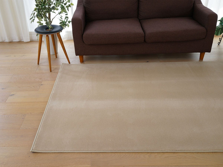 Rug