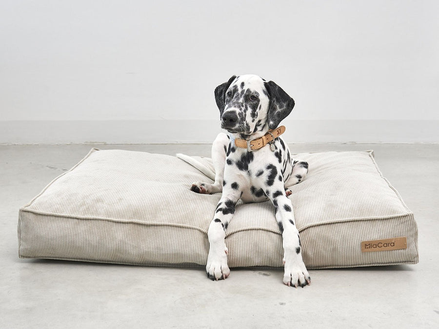 Cordo Dog Cushion