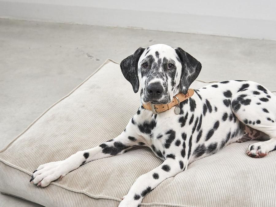 Cordo Dog Cushion