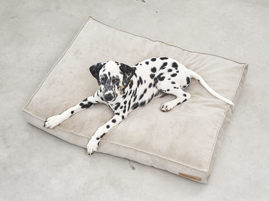 Cordo Dog Cushion