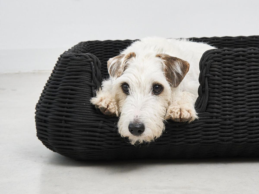 Mio Dog Basket