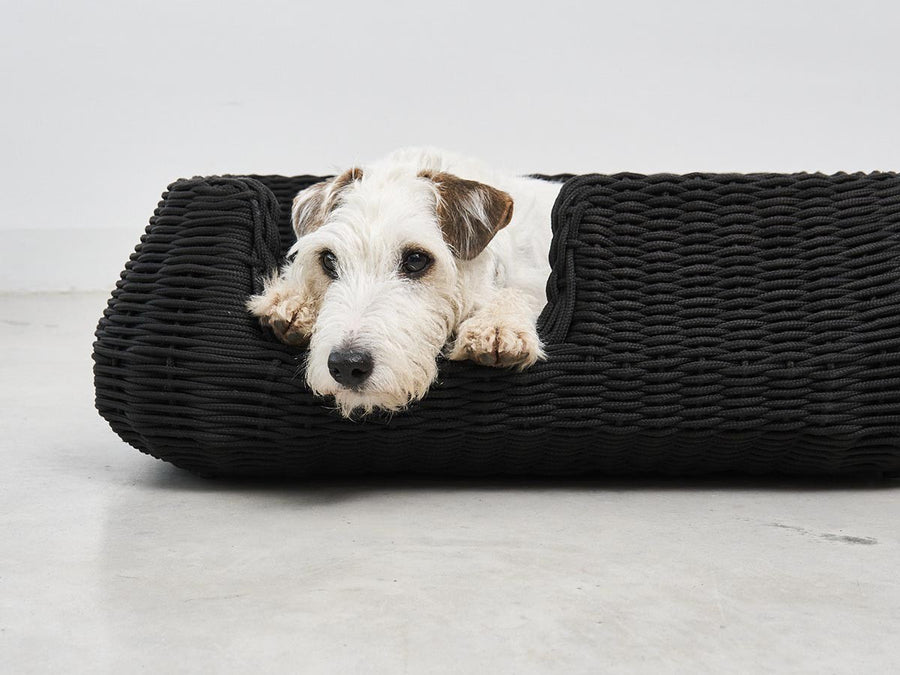 Mio Dog Basket