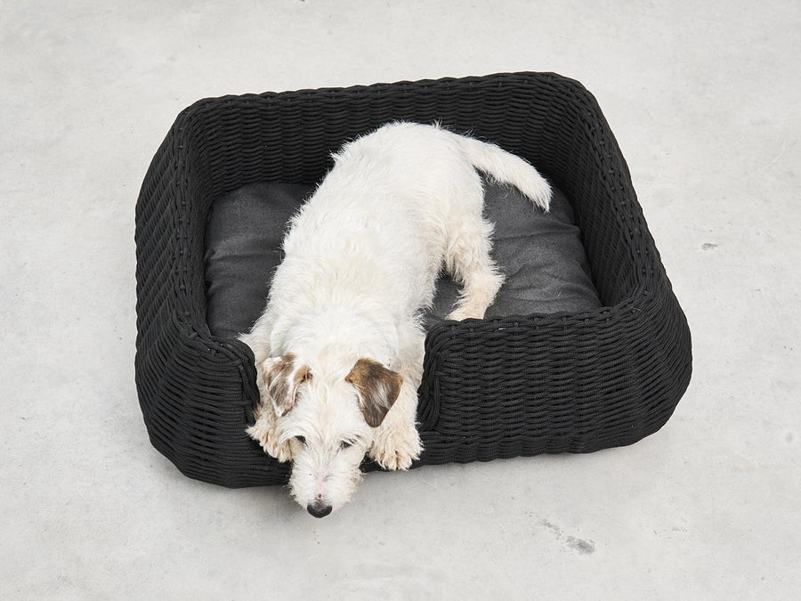 Mio Dog Basket