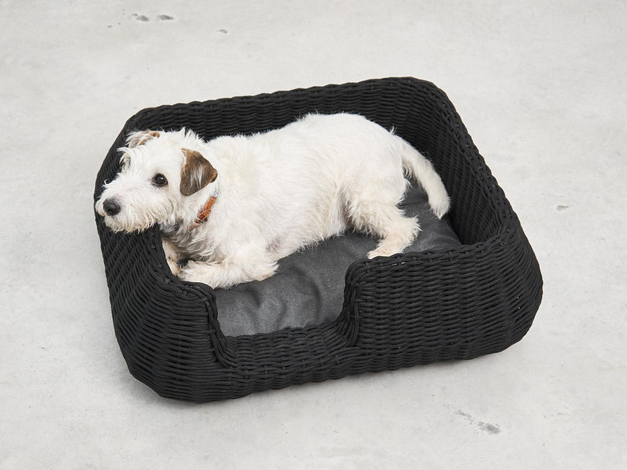 Mio Dog Basket