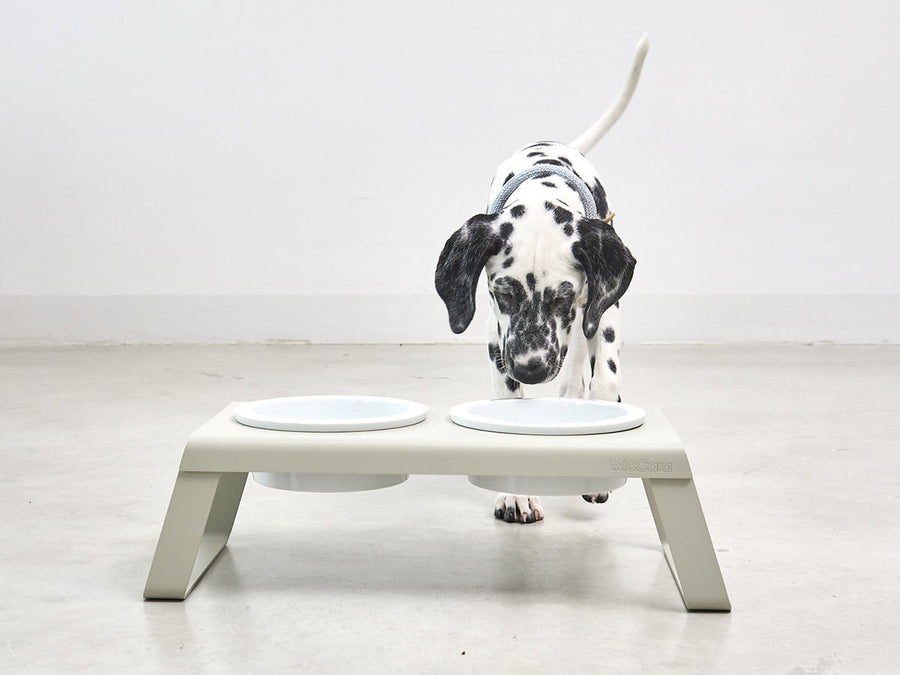 Desco Dog Feeder