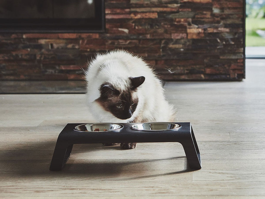 Desco Cat Feeder