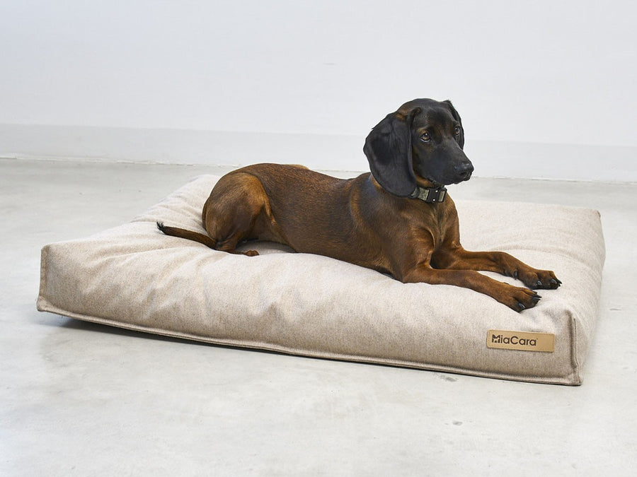 Calma Dog Cushion