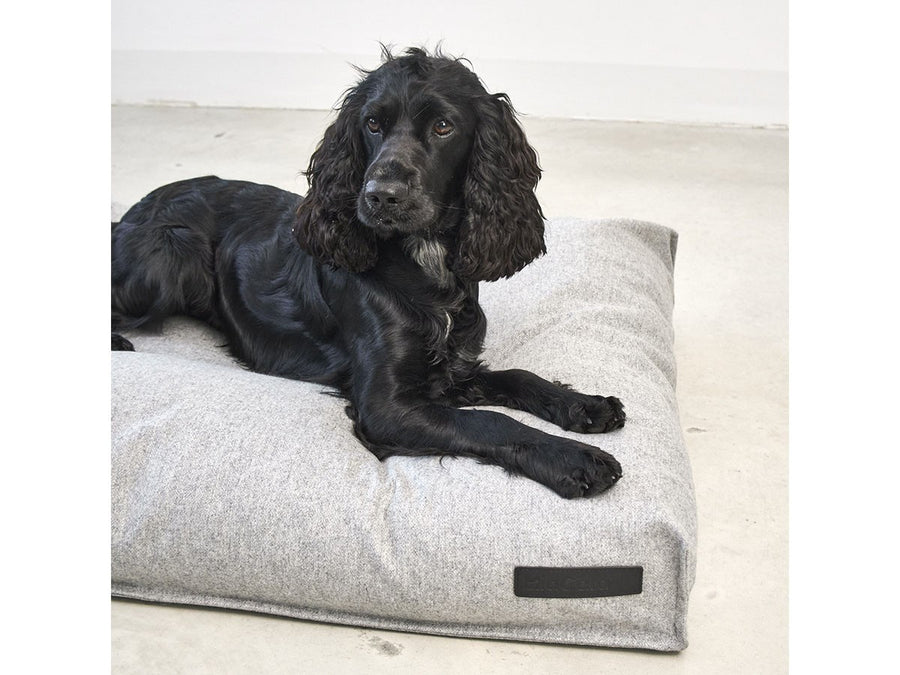 Calma Dog Cushion