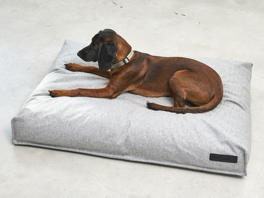 Calma Dog Cushion