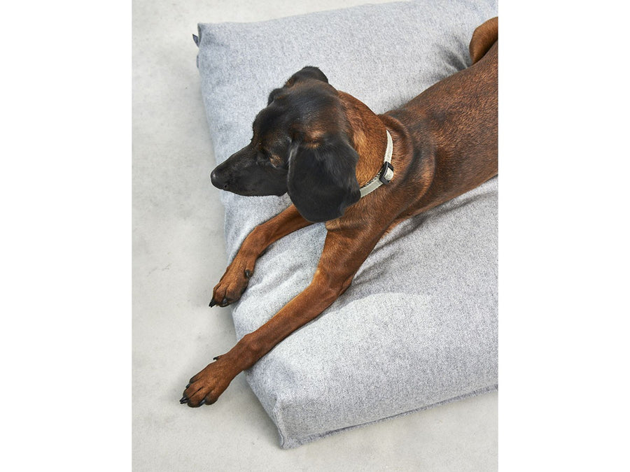 Calma Dog Cushion