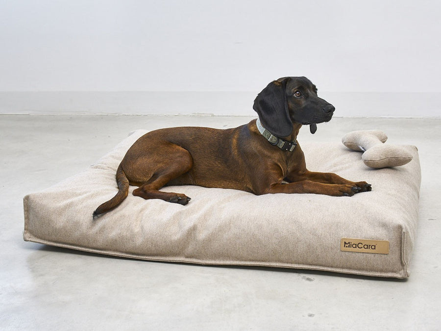 Calma Dog Cushion