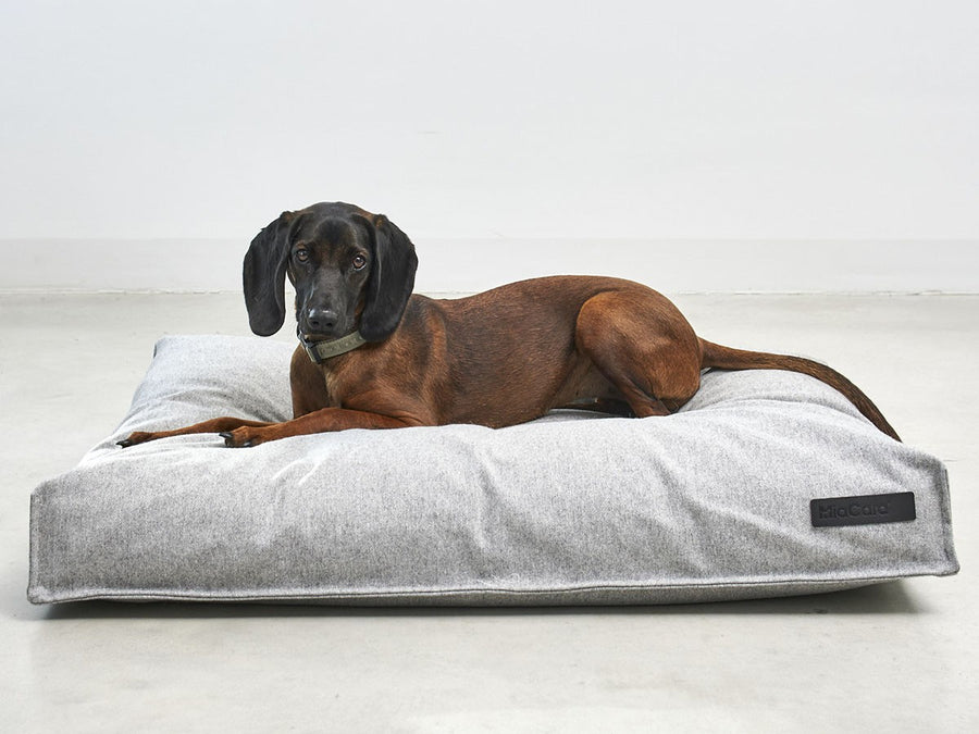 Calma Dog Cushion