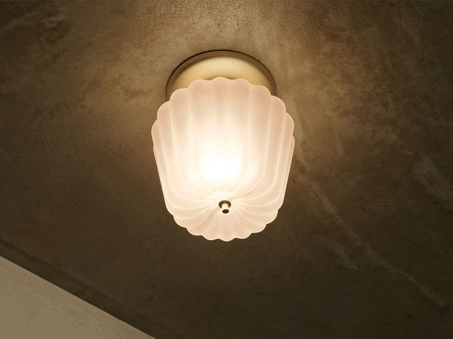 Ceiling Light