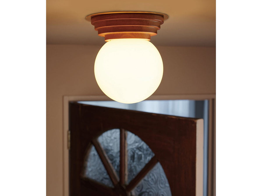 Ceiling Light