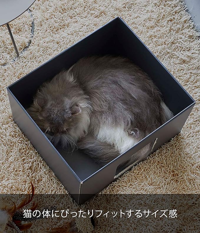 tower キャットボックス 2個組 ブラック 猫ハウス キャットハウス